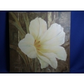 White Lily Canvas Painting by F. de Villeneuve, 27.5 x 27.5 in.